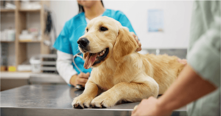 Specialty Insurer Creates Personalized Experiences, Doubles Conversions