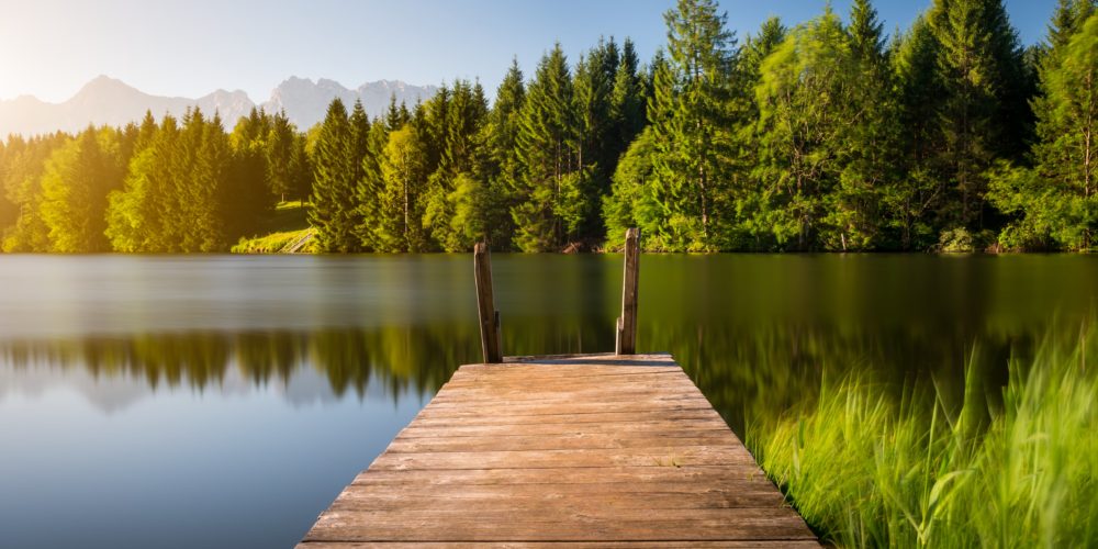 Data Lake vs. Data Swamp: Why Enterprise-Class Businesses Can't Afford Bad Data