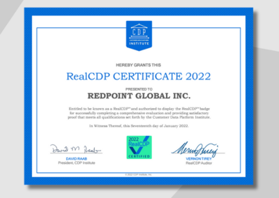CDP Institute Report: RealCDP Audit 2022