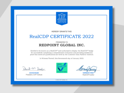 CDP Institute Report: RealCDP Audit 2022