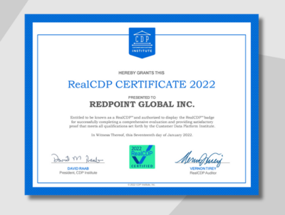 Cdpi Real Cdp Audit 2022 V1