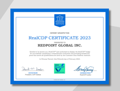 CDP Institute Report: RealCDP Audit 2023
