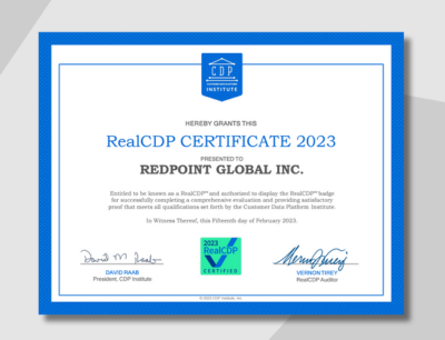 Cdpi Real Cdp Audit 2023 V3