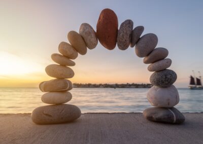 Build a Comprehensive Customer Understanding Through Perfect Data