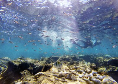 Go Deep: Why a First-Party Data Strategy Needs to Incorporate Depth