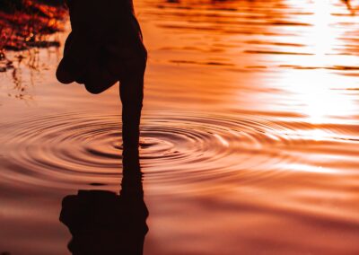 The Role of a CDP in Multi-Touch Attribution