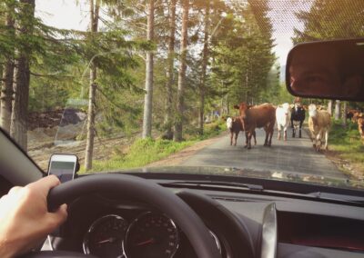 Here’s Why Householding Matters for a Seamless Customer Experience (CX)