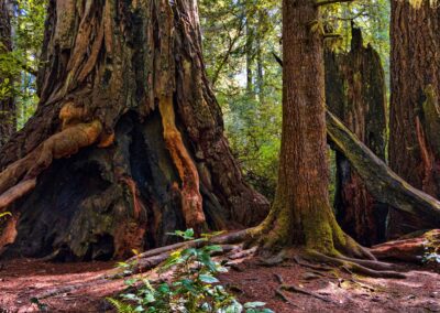 Scalable Without Sacrifice – A CDP Engineered for Enterprises