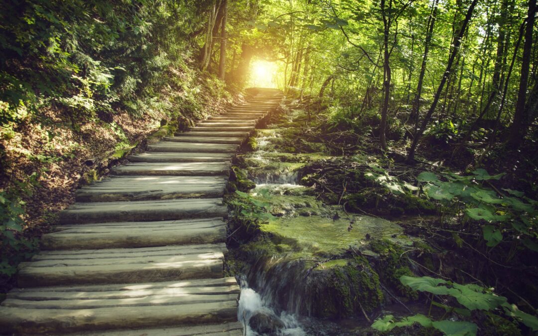 Real-Time Decisioning Puts the Customer in Charge of the Journey