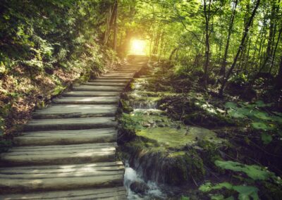 Real-Time Decisioning Puts the Customer in Charge of the Journey