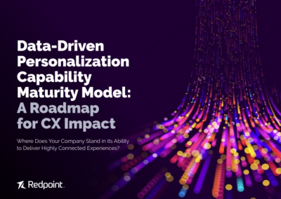 Data-Driven Personalization Capability Maturity Model