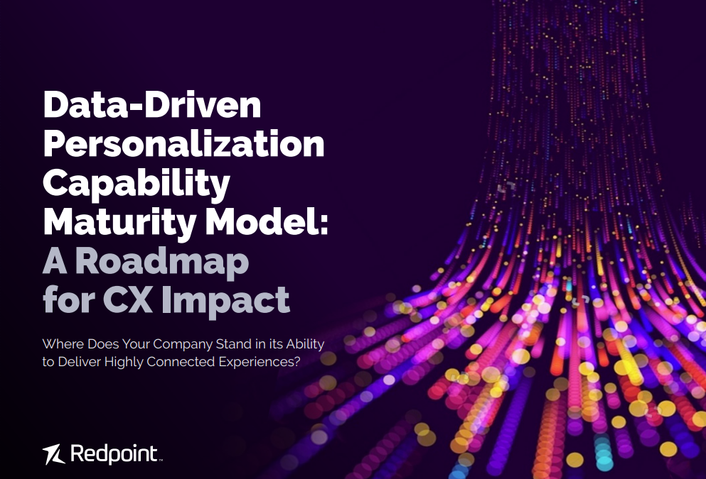 Data-Driven Personalization Capability Maturity Model