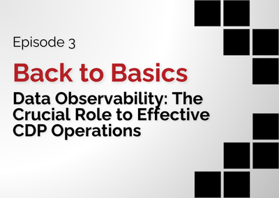 Back to Basics | Data Observability: The Crucial Role to Effective CDP Operations